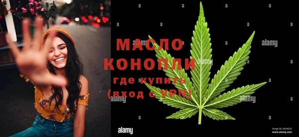 стафф Вяземский