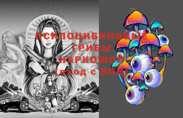 стафф Вяземский