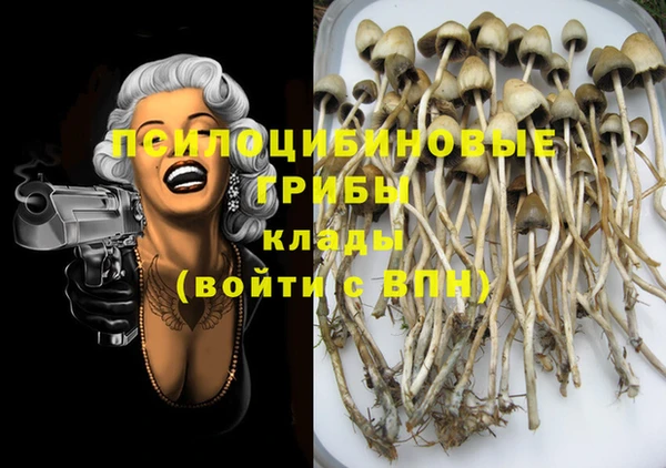 скорость Вязьма
