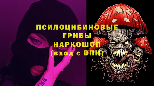 стафф Вяземский