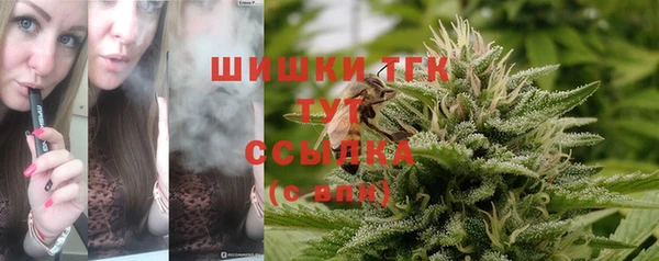 стафф Вяземский